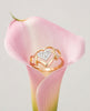 18K Gold Plated Triple Heart CZ Cluster Ring | Cubic Zirconia Romantic Statement Ring